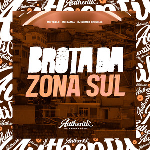 Brota da Zona Sul (Explicit)