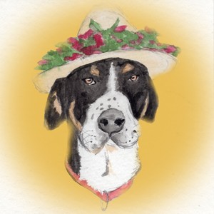 Siempre Con Vos (En Casa) (En Casa)