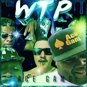 WTP (feat. Rook G, AceGangGT & Big T)