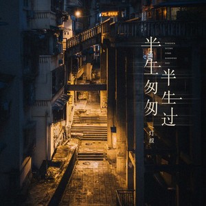 半生匆匆半生过