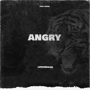 Angry (feat. TeeDee) [Explicit]