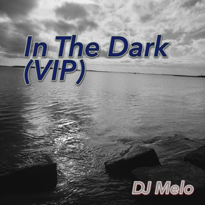 In The Dark (Melodic) (Instrumental)