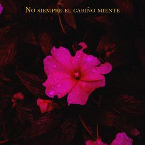 No siempre el cariño miente