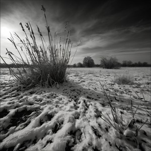 Чёрная зима (Explicit)