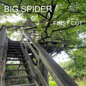 Electronic Not Human