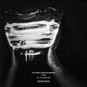 H A R P (Extended Mix)