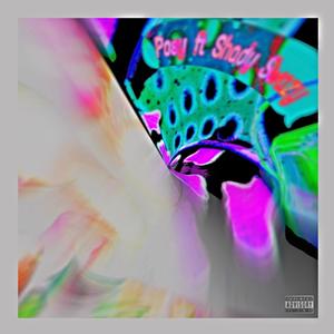 WYO(feat. Shady Swazy) (Explicit)