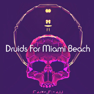 Druids For Miami Beach