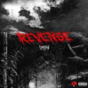 REVENGE (Explicit)