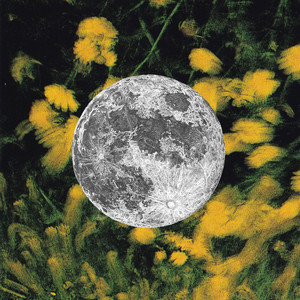 All-Nighter (Squirrel Flower Version)