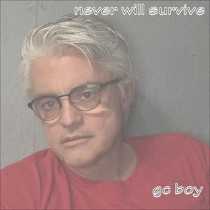 Never Will Survive