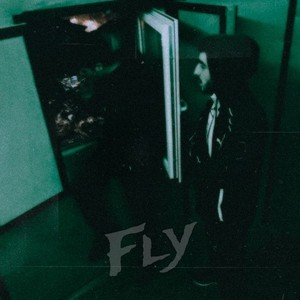 Fly