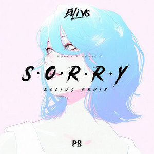 HuaoH-SORRY (Remix)