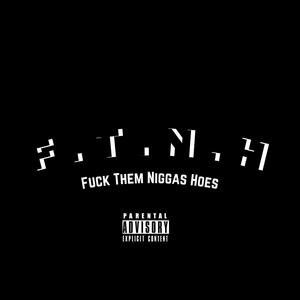 F. T. N. H (Explicit)