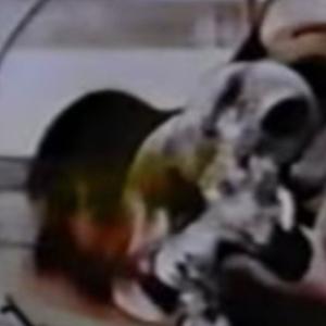 pressure points CRACKED CLOUD ROT (Explicit)