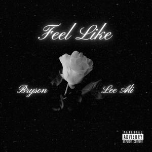 Feel Like (feat. Lee Ali & Max C) [Explicit]