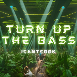 TURN UP THE BASS