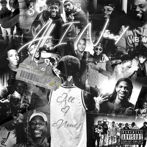 All I Need (feat. SwollGangRize) [Explicit]