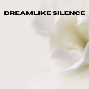 Dreamlike Silence