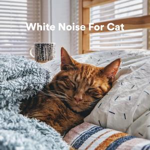 White Noise for Cat