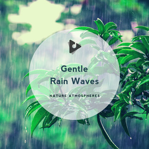 Gentle Rain Waves