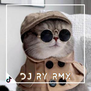 DJ GADIS BAJU MERAH ||CINTA SEMALAM|| VIRAL TIKTOK