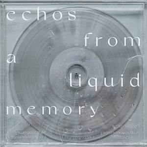 Echos From A Liquid Memory