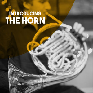 Concerto for Two Horns in D Major - Concerto for Two Horns in D Major: IV. Allegro assai