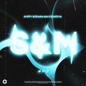 S&M (Techno Mix|Explicit)