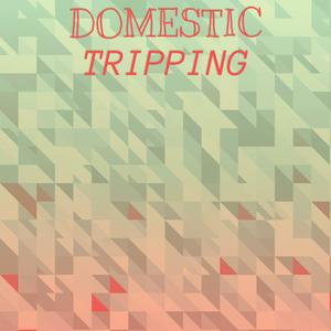 Domestic Tripping