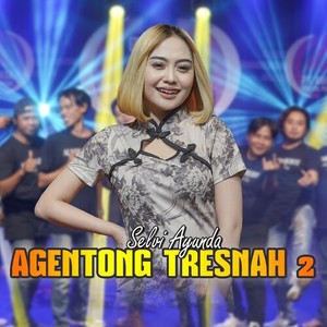 Agentong Tresnah 2