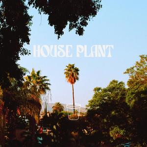 House Plant