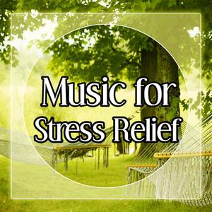 Music for Stress Relief – Relax Yourself with New Age, Nature Sounds to Relax, Soft Music