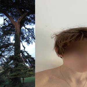 phase (Explicit)