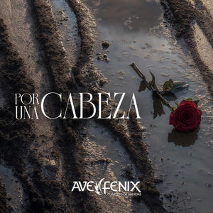 Por una cabeza (4-String Version)