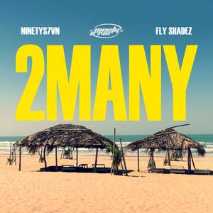 2 Many (feat. Fly Shadez) (Explicit)