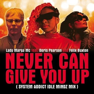 Never Can Give You Up (System Addict Idle Mindz Mix)