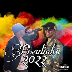 Piseiro 2022 (feat. Panela ZAP)