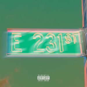 E 231 ST (Explicit)