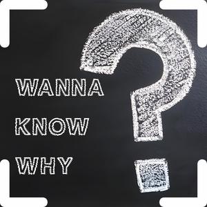 Wanna Know Why (feat. Kahnxtdoor & Eli Bandz) [Explicit]