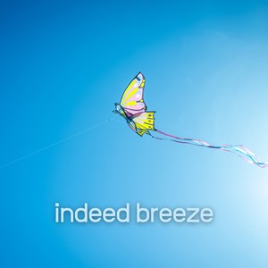 Indeed Breeze (Inner Sense)