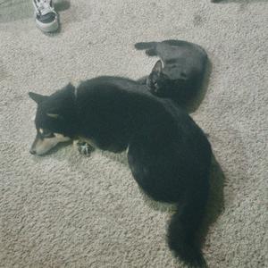 even when i say something nice its rude (Explicit)