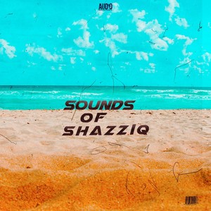 Sounds Of ShazziQ (Instrumental Versions)