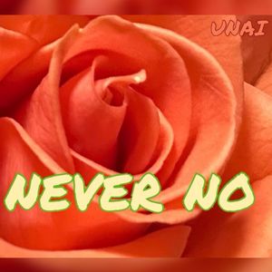 never no