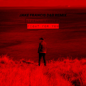 Fight For You (Jake Francis D&B Remix)