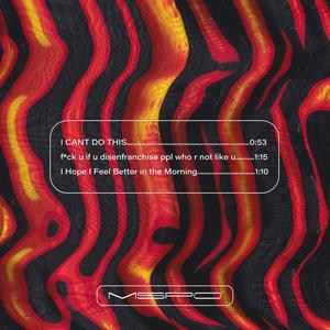 I CANT DO THIS / **** u if u disenfranchise ppl who r not like u / I Hope I Feel Better in the Morning (Explicit)