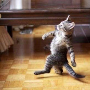 swag song (feat. suddendeathovertime) (Explicit)