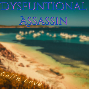 Dysfuntional Assassin