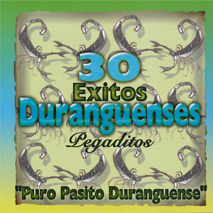 30 Exitos Duranguenses Pegaditos: Puro Pasito Duranguense