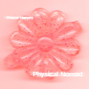 Physical Nomad (Explicit)